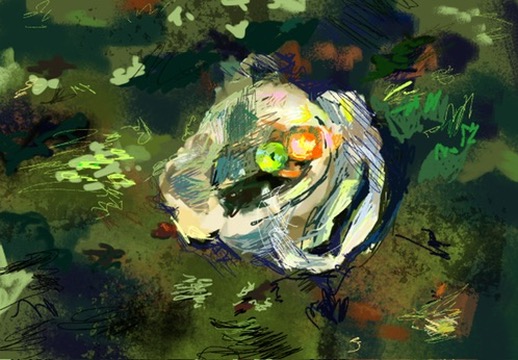 drawing